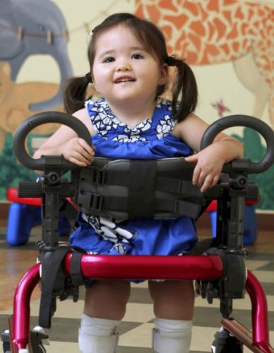 my guardian foundation contact us